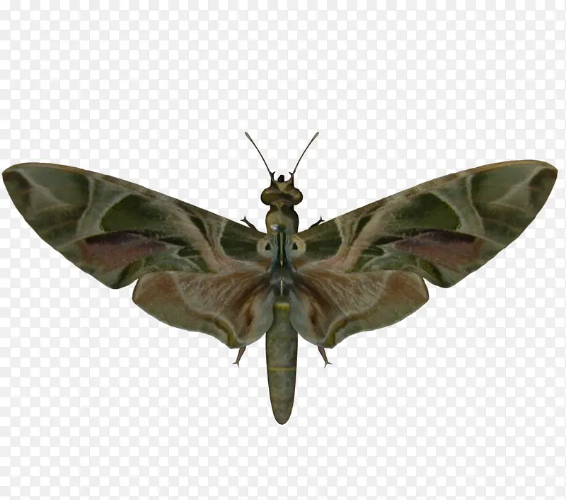 �Ҳ� ��������� ӡ������-������