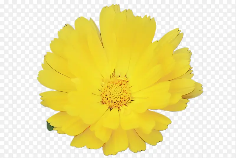 ���پ� ���� ������-������