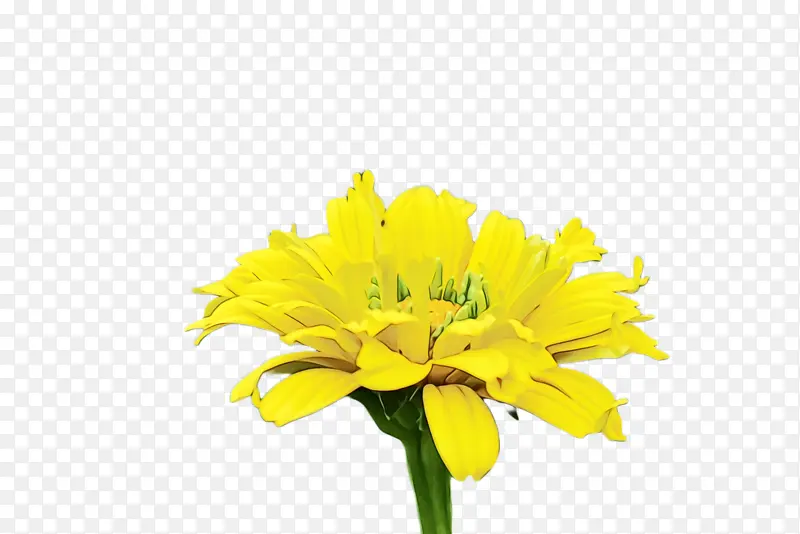 ���پ� ���� ����-������