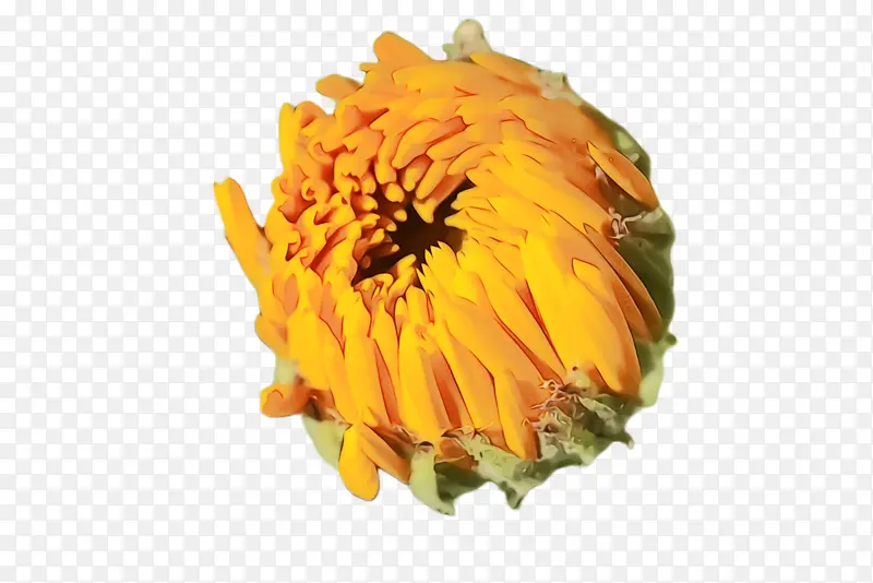 ���پ� ���� ��-������