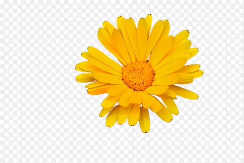 ���پ� ���� ����-������