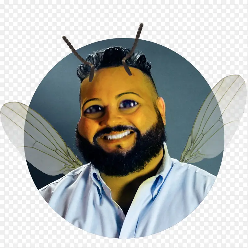 ¼�� ������������˹�� �۷�-������