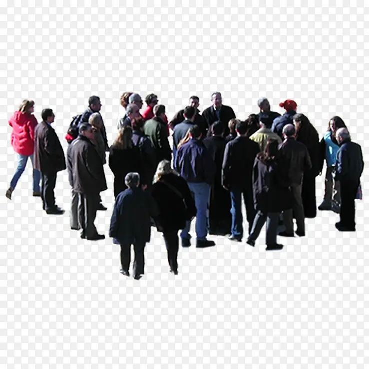 ��Ⱥ �罻���� ����-������