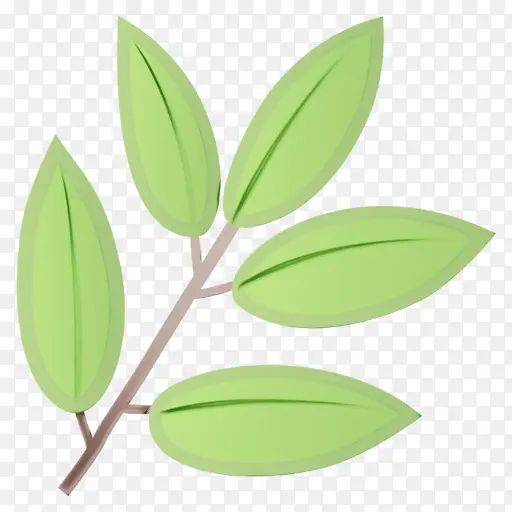 ������� ��׿������ ��Ҷ-������