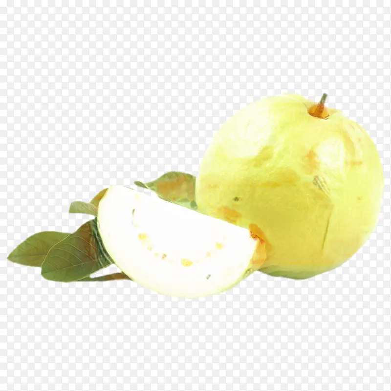 ʳ�� ����ʳƷ ����-������