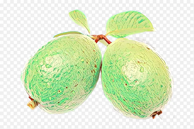 ˮ�� ֲ�� ʳ��-������