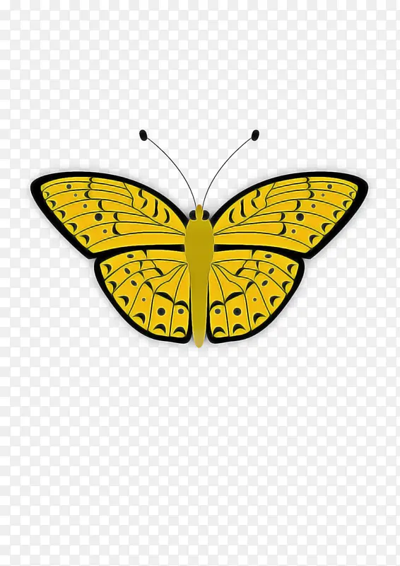 ���� ���� ��������-������