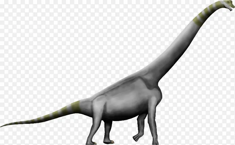 Ů�� ���� β��-������