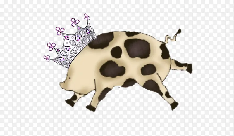 �ڹ� ���� ��������-������