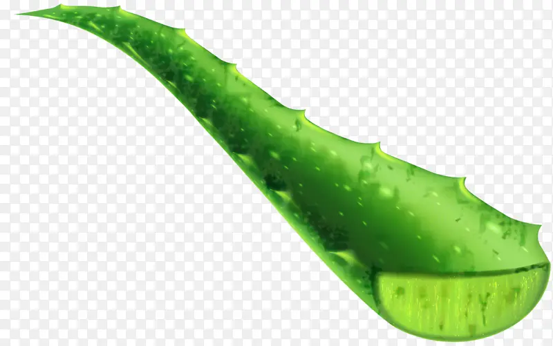 Ҷ ֲ�ﾥ �߲�-������