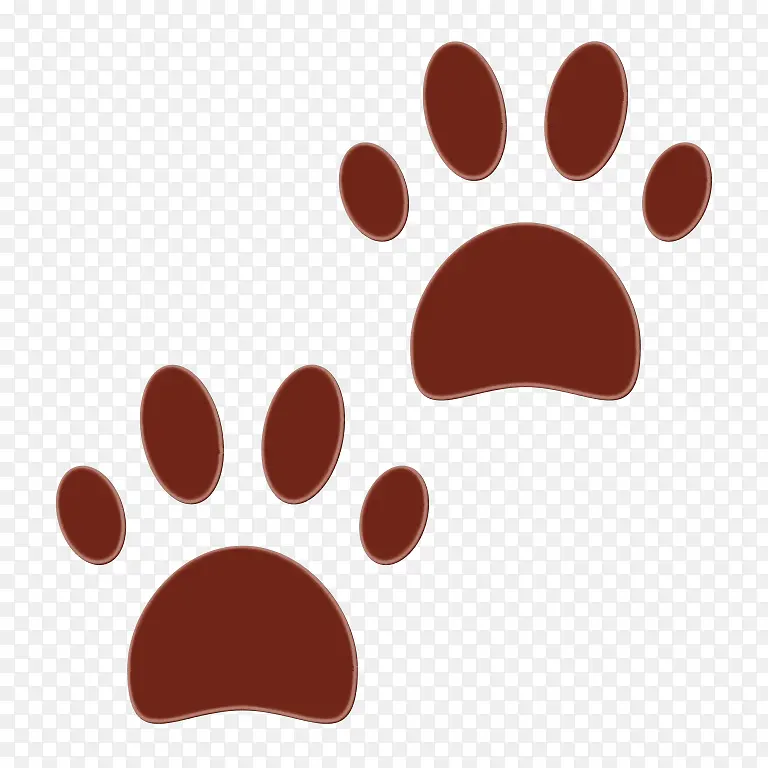 ���� ���� צ��-������