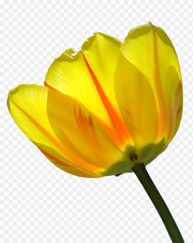 ������ �� ֲ��Ⱥ-������