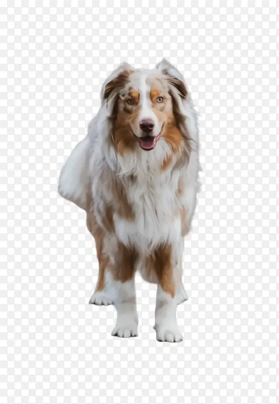 �ɰ��Ĺ� ���� ����-������