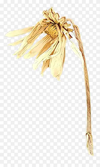 �� ���� ��ɫ-������