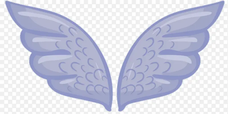 ��ɫ ���� ���-������