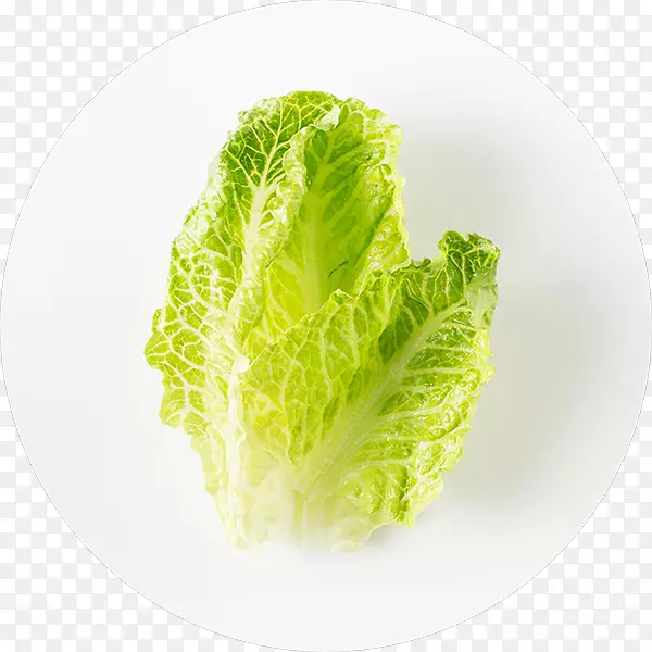 Ҷ�߲�ʳƷ����-������