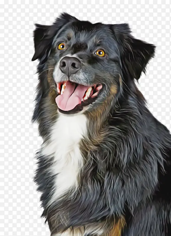 �ɰ��Ĺ� ���� ����-������