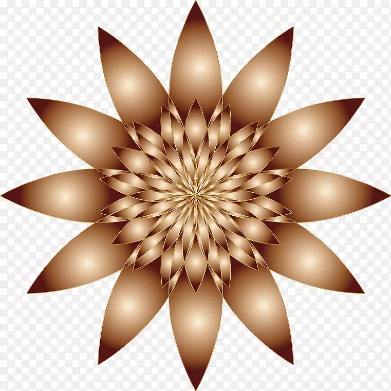 ���������ֽ����ͼ�������.���ܱ���-������