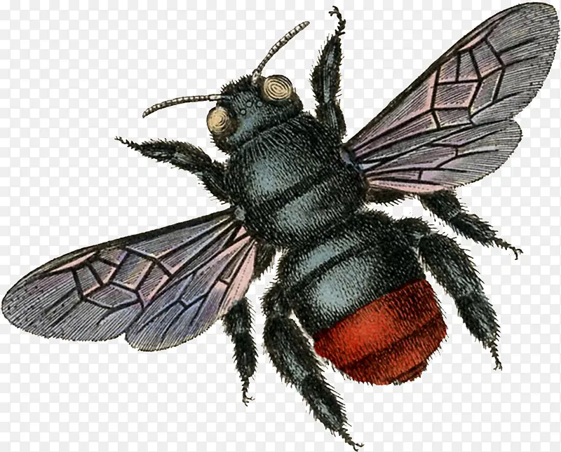 �۷� ���� ����-������