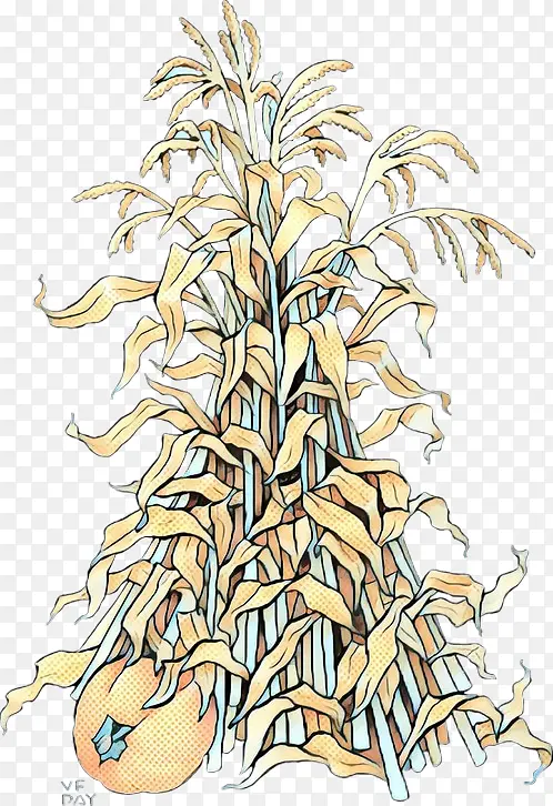 �� ֲ�ﾥ ����-������