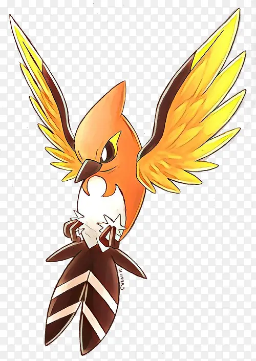 ���� ���� ��Ů-������