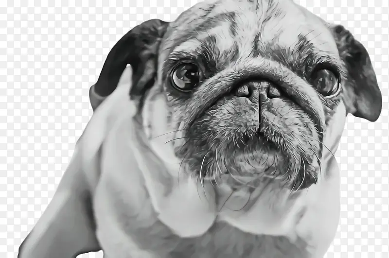 �ɰ��Ĺ� ���� ����-������