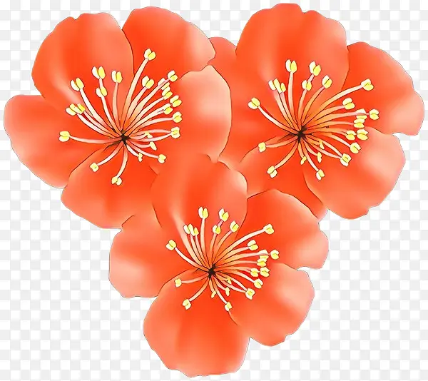 ���� ���� ӣ��-������