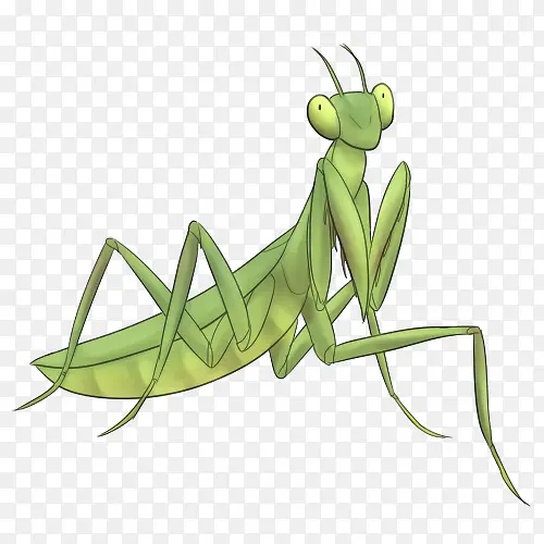 ���� ��� ��β��-������