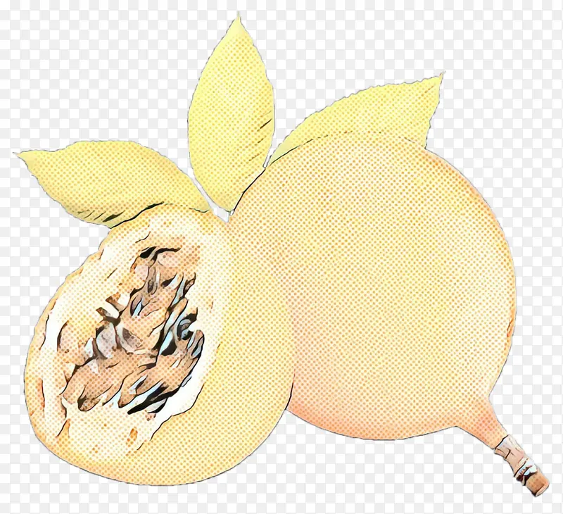 ��ɫ ˮ�� β��-������