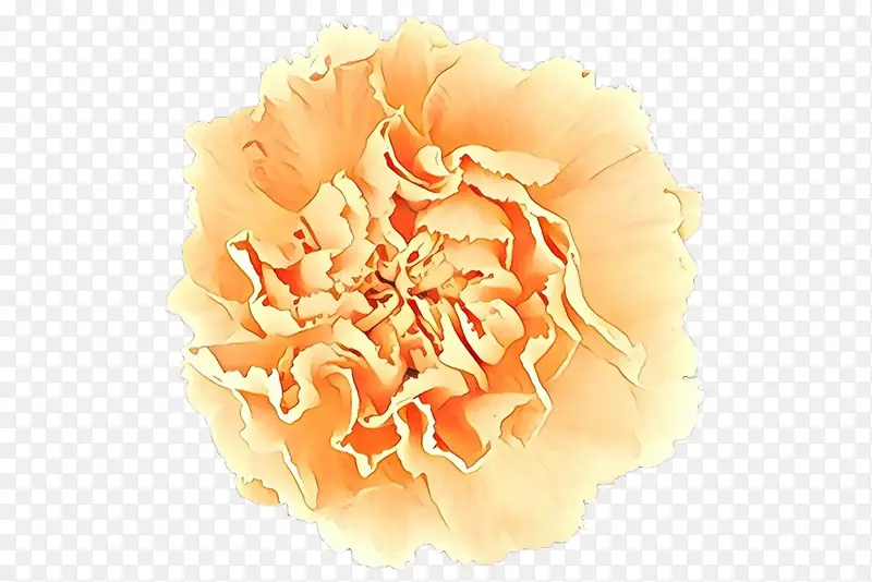 ��д��ͷ ��ɫ ��-������