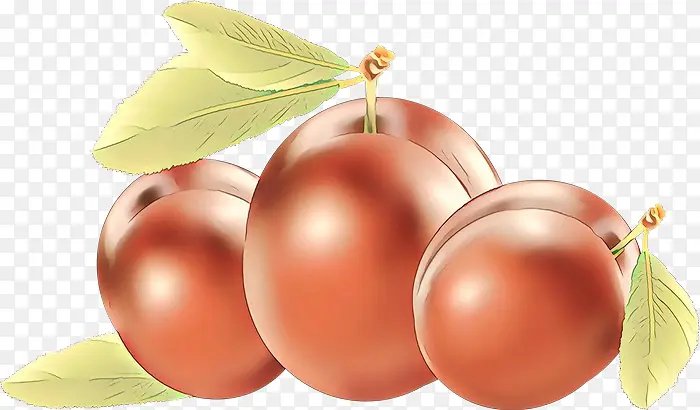 ʳƷ ����ʳƷ ����ʳƷ-������