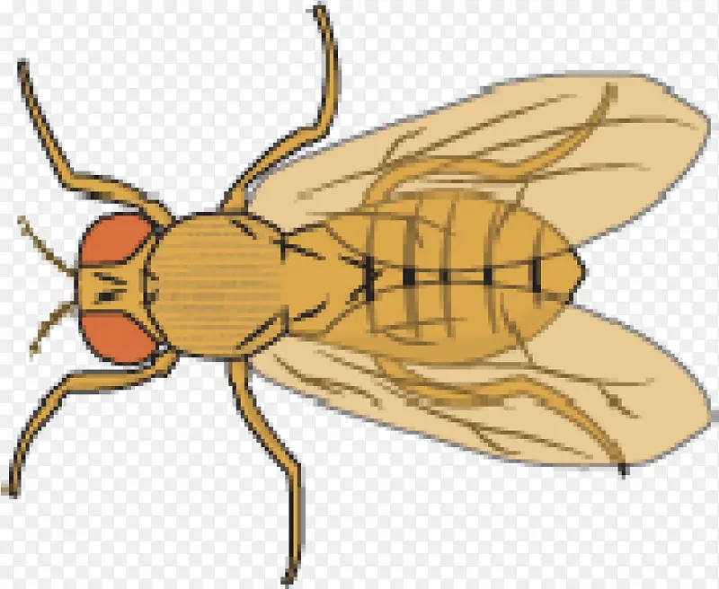 �����Ĺ�Ӭ ���� ��Ӭ-������