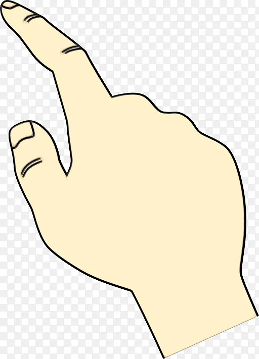 ʳָ ��ָ ָ��-������