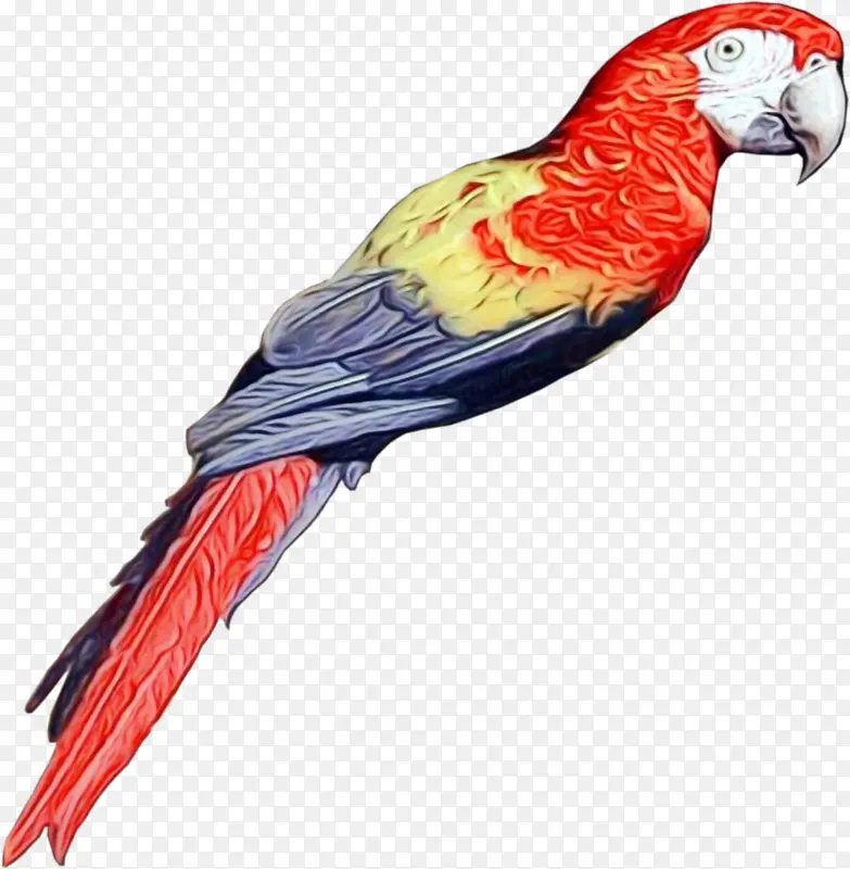 ���������������ë๳�����������������-������