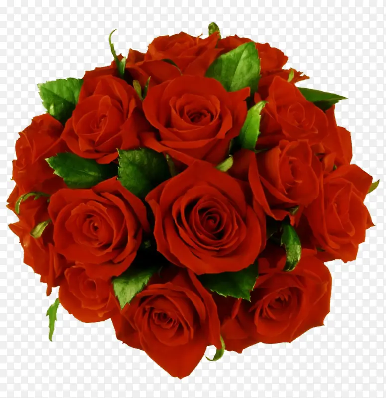 ��˹ ����-������