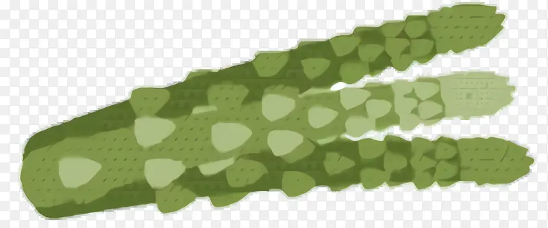 Ҷ�� ��ɫ ��-������