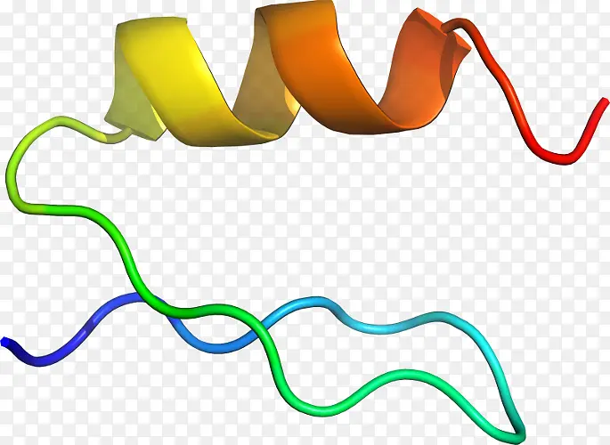 �Ļ� ���� ��ͼ-������