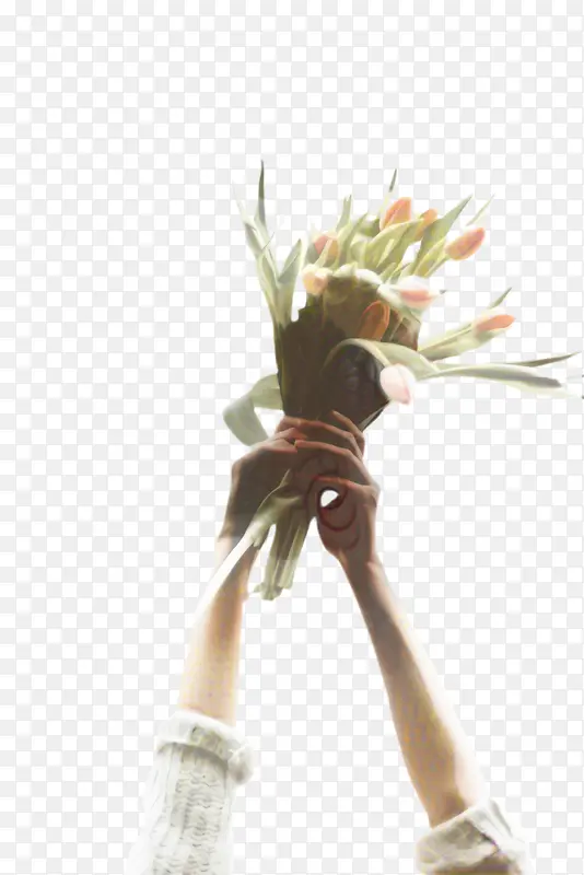 ������ �� ֲ��-������