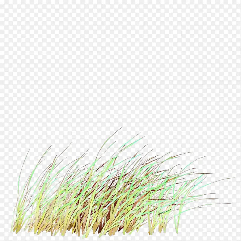 �� ��Ʒ ��ɫ-������