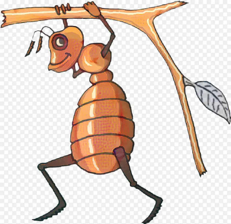 ���� �۷� ��Ʒ�-������