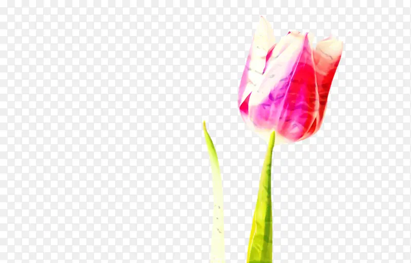 ������ ���� ֲ��Ⱥ-������