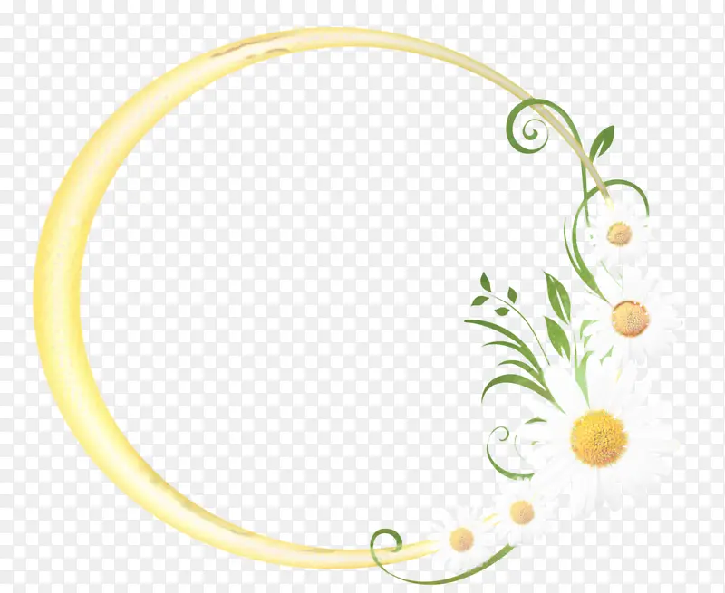 �����鱦 ��ɫ ����-������