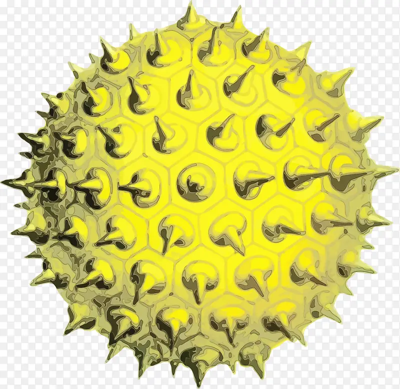 �Գ� ��ɫ ���տ�-������