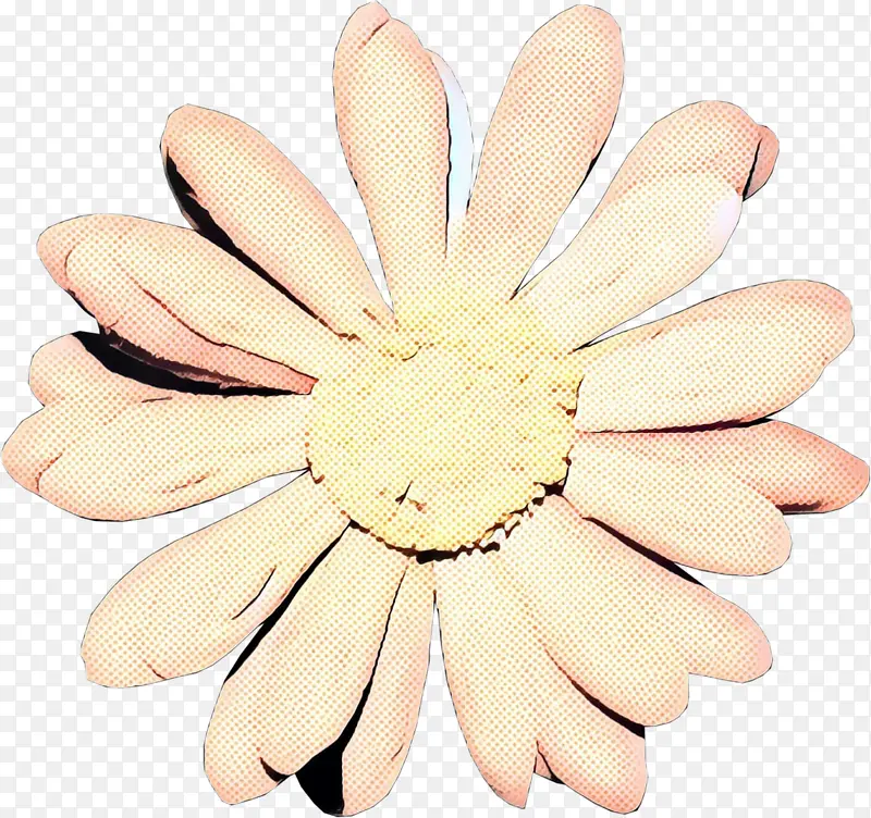 ��ģ�� ��ָ ��-������