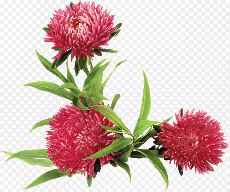 ����������-�ջ�-������