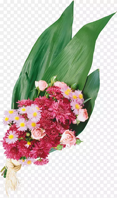 �л��ջ�-�ջ�-������