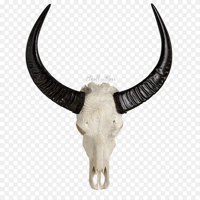 ͷ�� ����ͷ�� ����-������