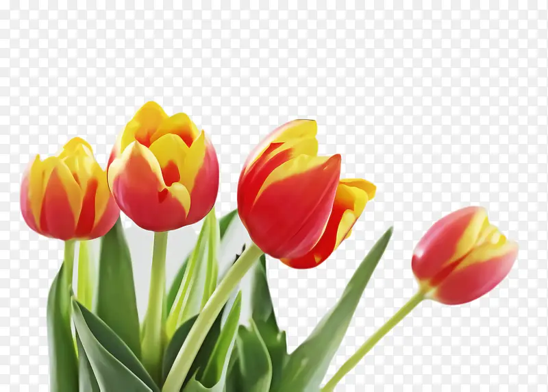 ������ ���� ֲ��Ⱥ-������