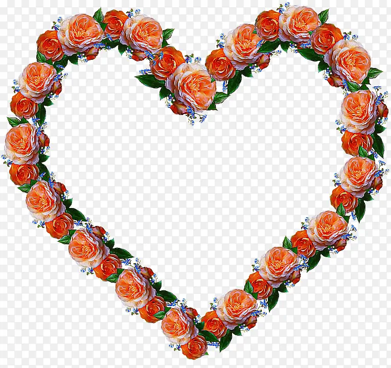 ���� ��ɫ ����-������