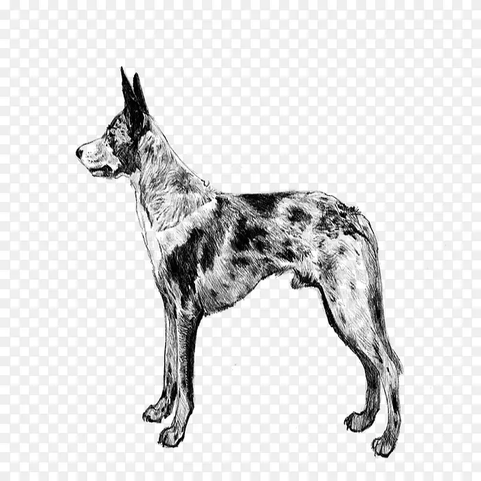 ��������������ѩ��Ȯ �Ĵ�����ţȮ ����Ȯ-������